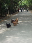 20070415_T023