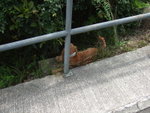 20070415_T030