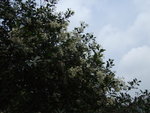 20070415_T033