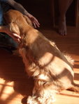 20070428_09