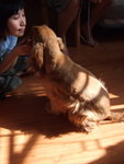 20070428_10