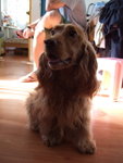 20070428_12