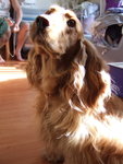 20070428_16