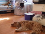 20070428_17
