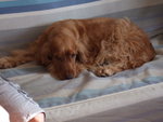 20070428_21