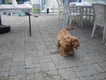 20070429_008
