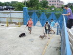 20070429_009