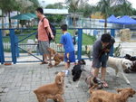 20070429_011