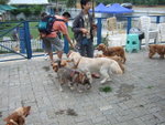 20070429_012