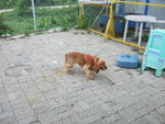 20070429_016