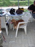 20070429_018