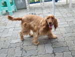 20070429_024