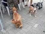 20070429_028
