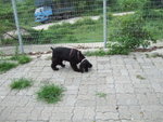 20070429_031