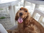 20070429_036