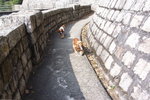 R1062981