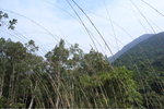 R1062990