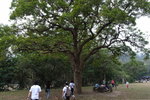 R1062999