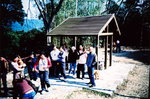 TingLCA02_2007_24