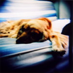Holga01_09