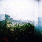 Diana01_08