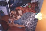 TingT3_01_03