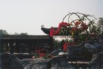 TingT3_02_16