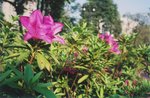 TingT3_02_18