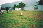 TingT3_04_22