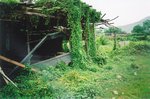 TingT3_04_30
