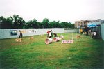 TingT3_04_31