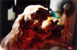 TingT3_05_21