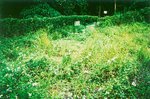 TingT3_08_06