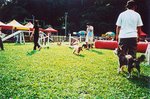 TingT3_08_23