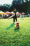 TingT3_08_24