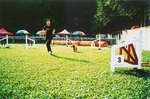 TingT3_08_28