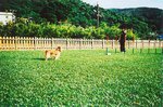 TingT3_08_29