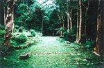 TingT3_10_03