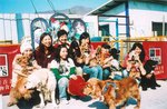TingT3_12_06