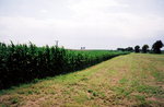 TingT3_16_02