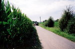 TingT3_16_05