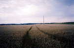 TingT3_16_07