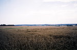 TingT3_16_08