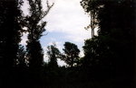 TingT3_16_12