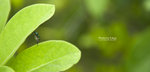 TKY_6388
