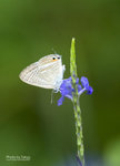 TKY_6532