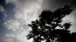 TKY_6571