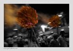 20080914-095