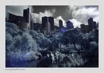20080830-009