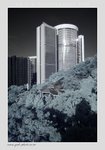 20080830-031